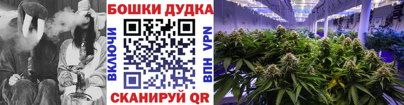 КОКАИН Вытегра