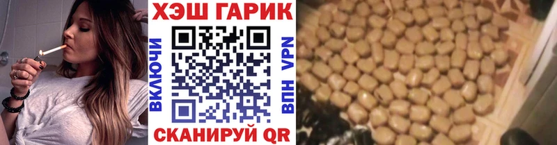 Купить закладки  Вытегра  ГАШИШ Premium 