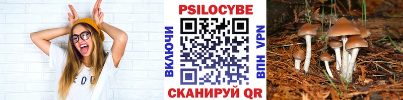 Псилоцибиновые грибы мухоморы  Купить  Вытегра 