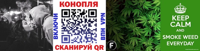 Купить  Вытегра  Марихуана VHQ 